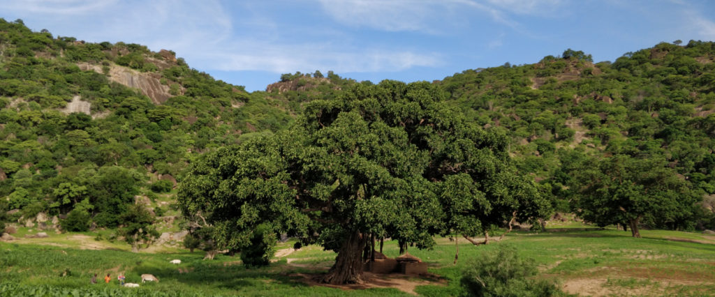 Massif de Loulou à Kalai